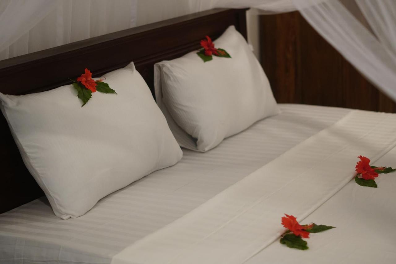 Turtle Bay Beach Resort Mirissa Kültér fotó