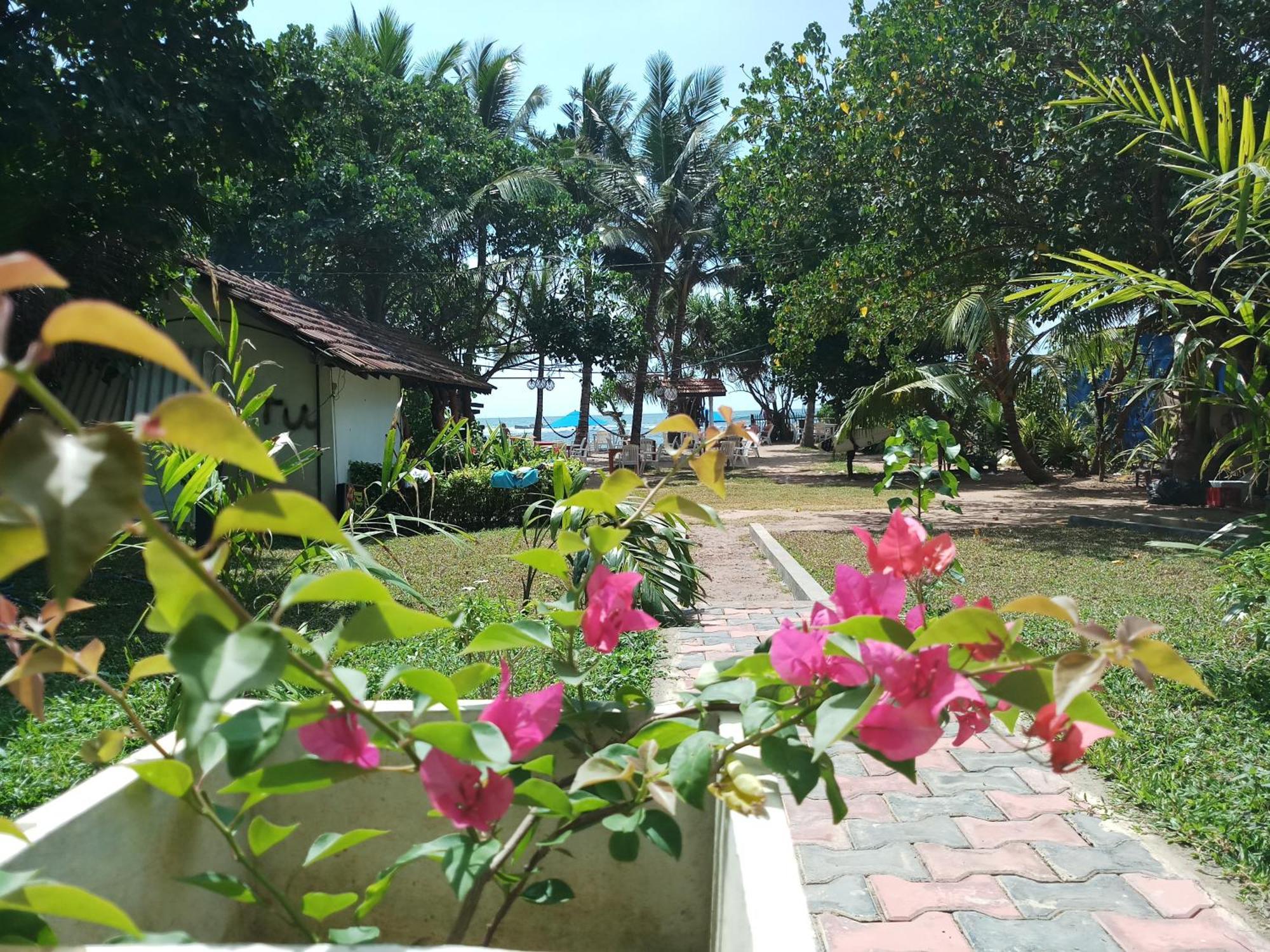 Turtle Bay Beach Resort Mirissa Kültér fotó